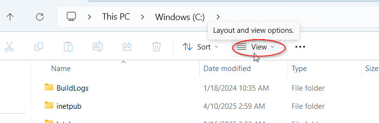 image of file explorer view option